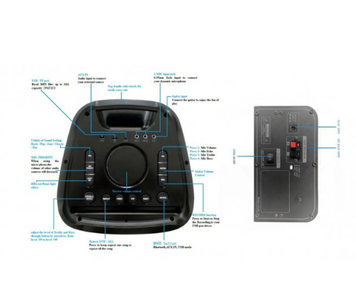 Потужна акумуляторна колонка 300Вт портативна ProAudio 210-08 - 2500W Автономна акустична система Bluetooth FM радіомікрофони 208- FG210-08 фото